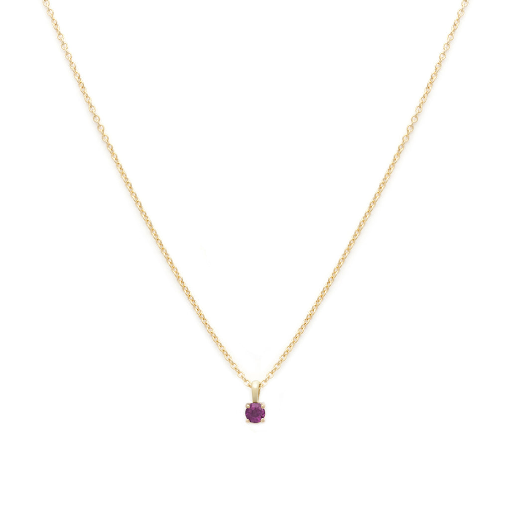 Leah Alexandra - Birthstone Necklace | January -