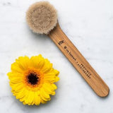 Province Apothecary - Facial Dry Brush - Default Title